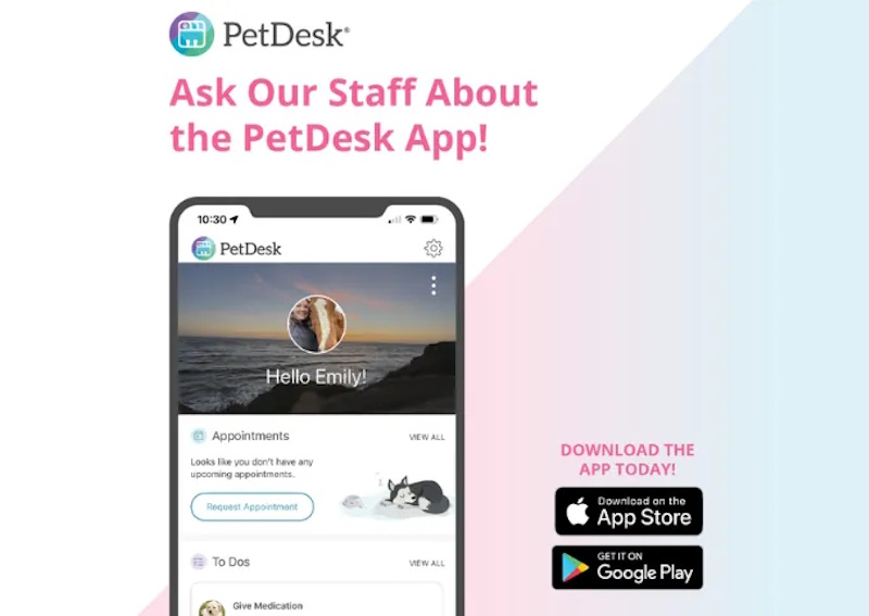 Carousel Slide 3: Download our app to view your pet portal